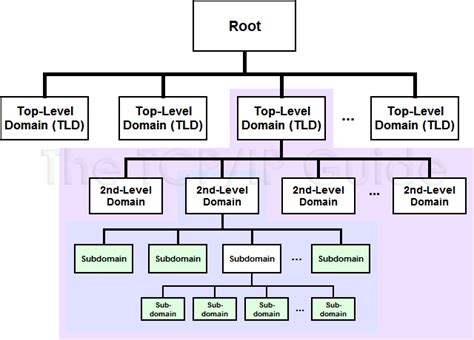 root domain vs top level domain|DNS Servers: Authoritative vs. Recursive vs. Root vs..